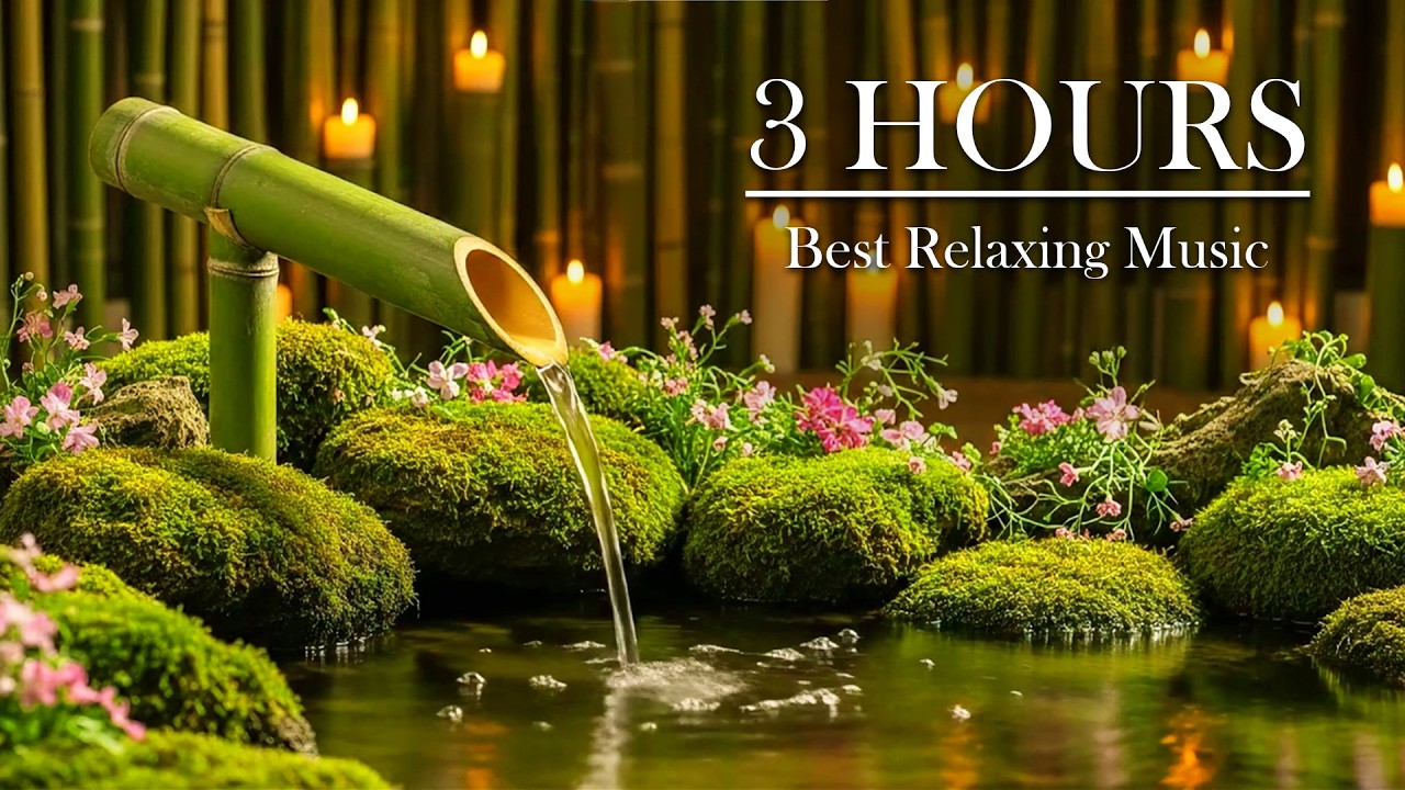 Relaxing Music for Stress Relief 🌿 3 Hour of Calming Meditation Sounds