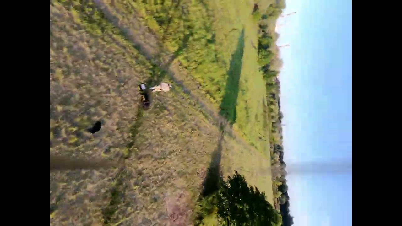 Crux35 WITH DJI O4 lite