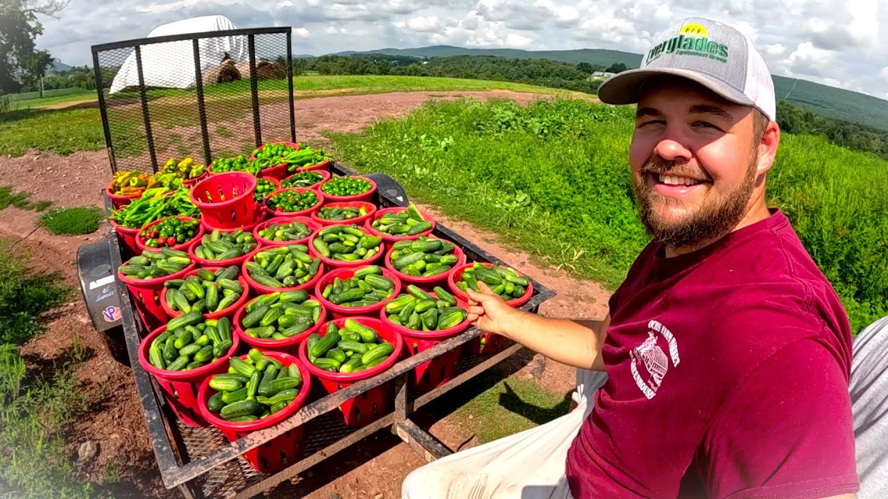 The BEST start on our farm 
