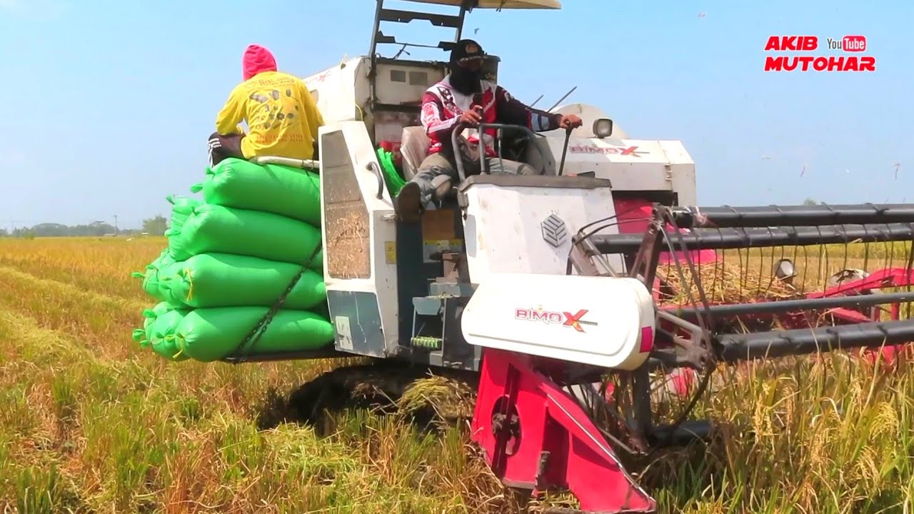 KOMBI BIMO XTREME PAKAI KARUNG PADI WARNA HIJAU #akibmutohar