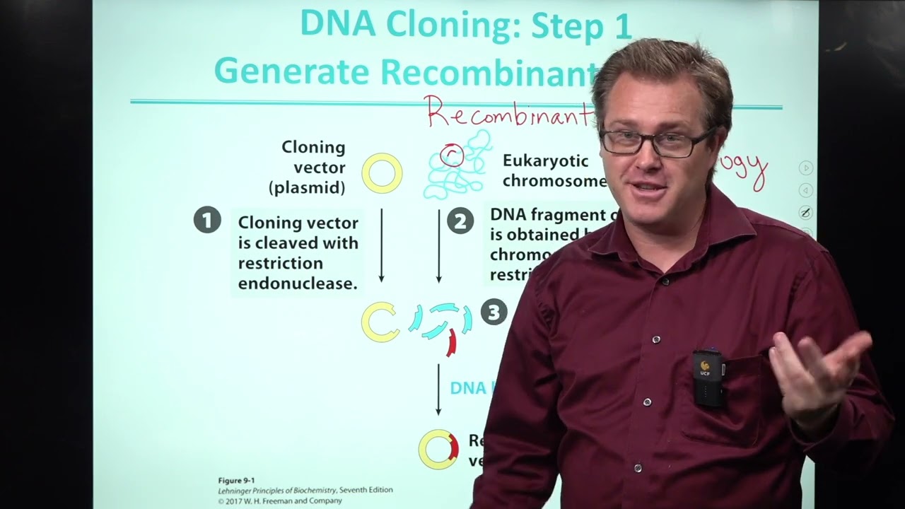 Recombinant DNA