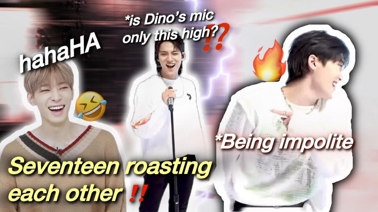 Seventeen roasting each other✨ #1