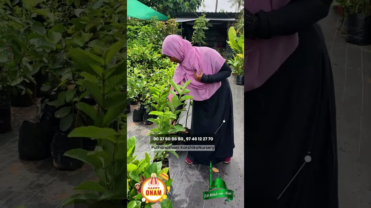 Offer 2 കിടിലൻ ഓണം നബിദിന ഓഫറുമായി Puthanathani KarshikaNursery Malappuram
