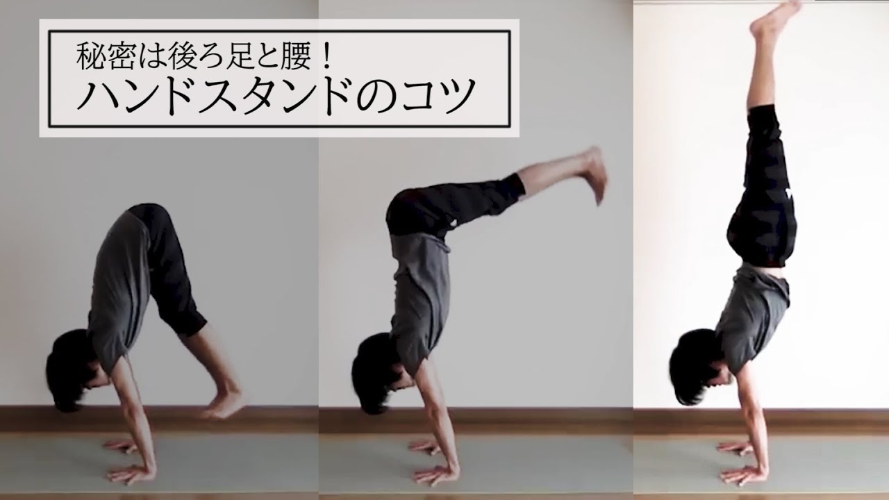 秘密は後ろ足と腰！ハンドスタンドのコツを解説 Instructions  Secrets for Yoga Handstand Tips were on Hind Legs and Hips!
