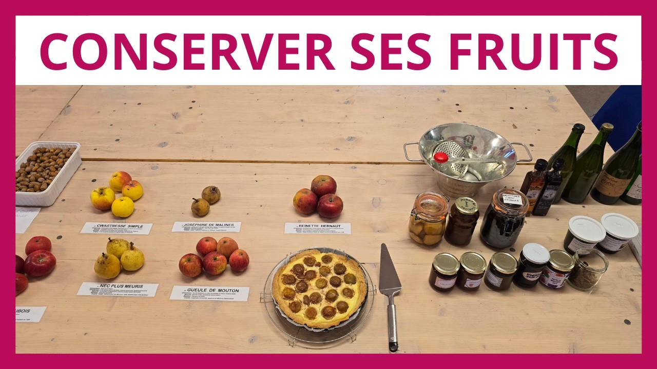Comment transformer et conserver ses fruits toute l’année