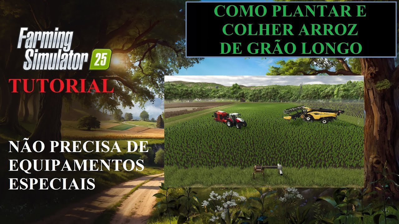Como Plantar e Colher Arroz de Grão Longo - Tutorial - Farming Simulator 25