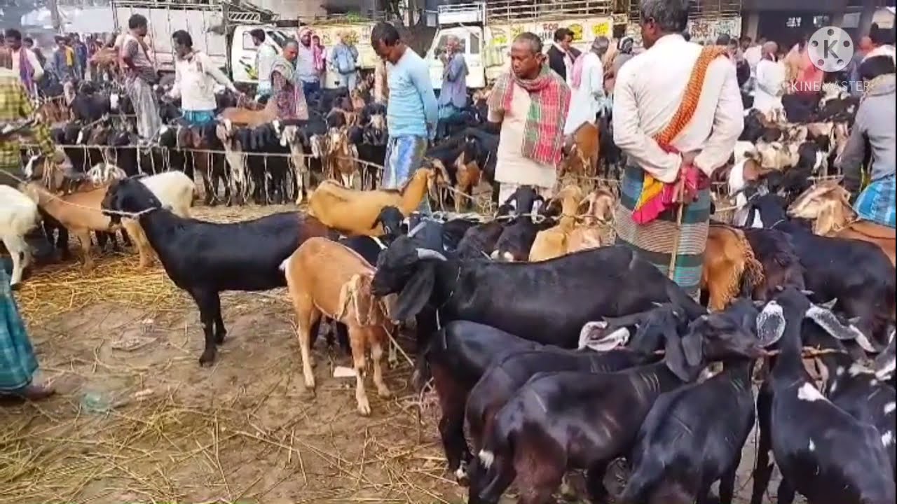 Dhubulia hat near krishnanagar nadia full video coming soon.. 👍👍