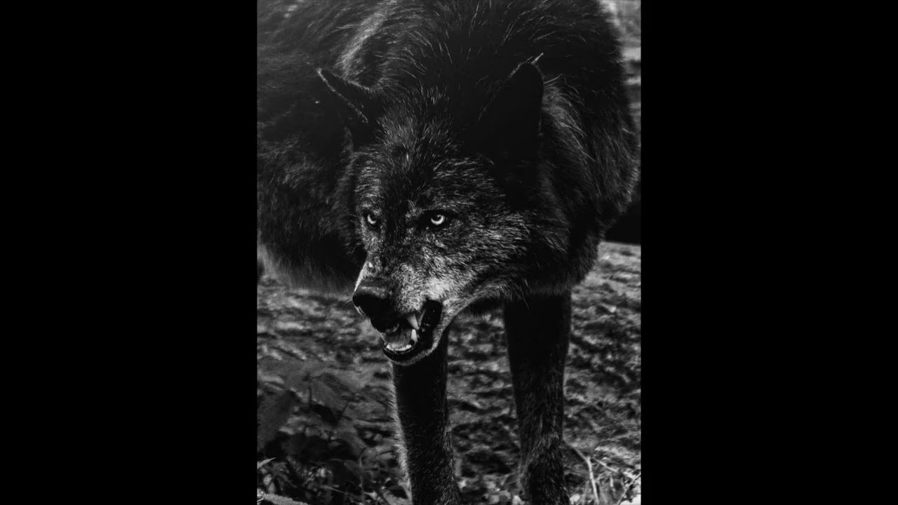 (FREE) Future x Drake Type Beat (HARD) - "NEW CHAPTER"