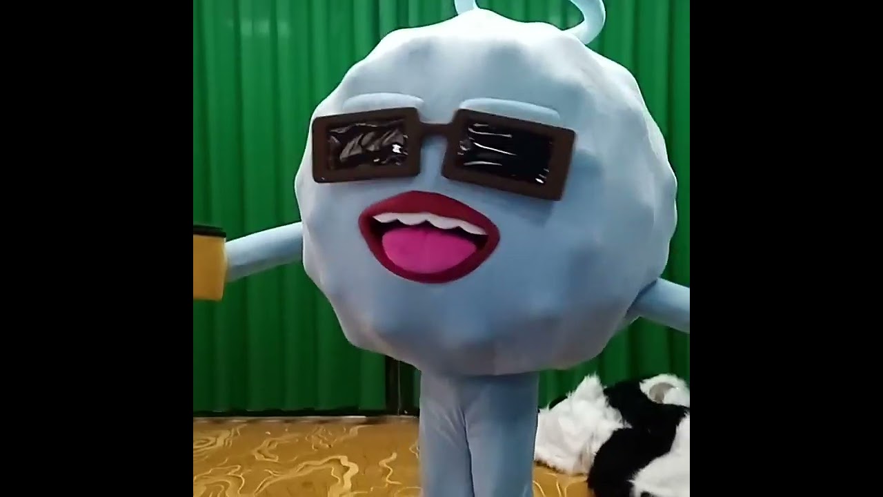 Custom Mascot Costume for Brands