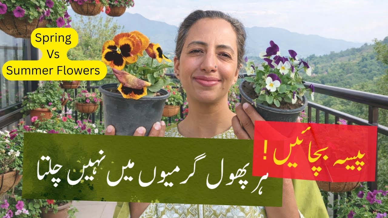 ⛔️Don’t Buy Flowering Plants until you Watch This | Top Spring Flowering Plants 