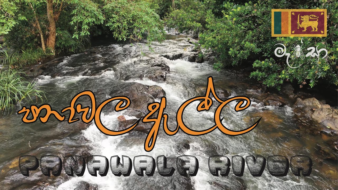 පානාවල ඇල්ල -- Panawala River