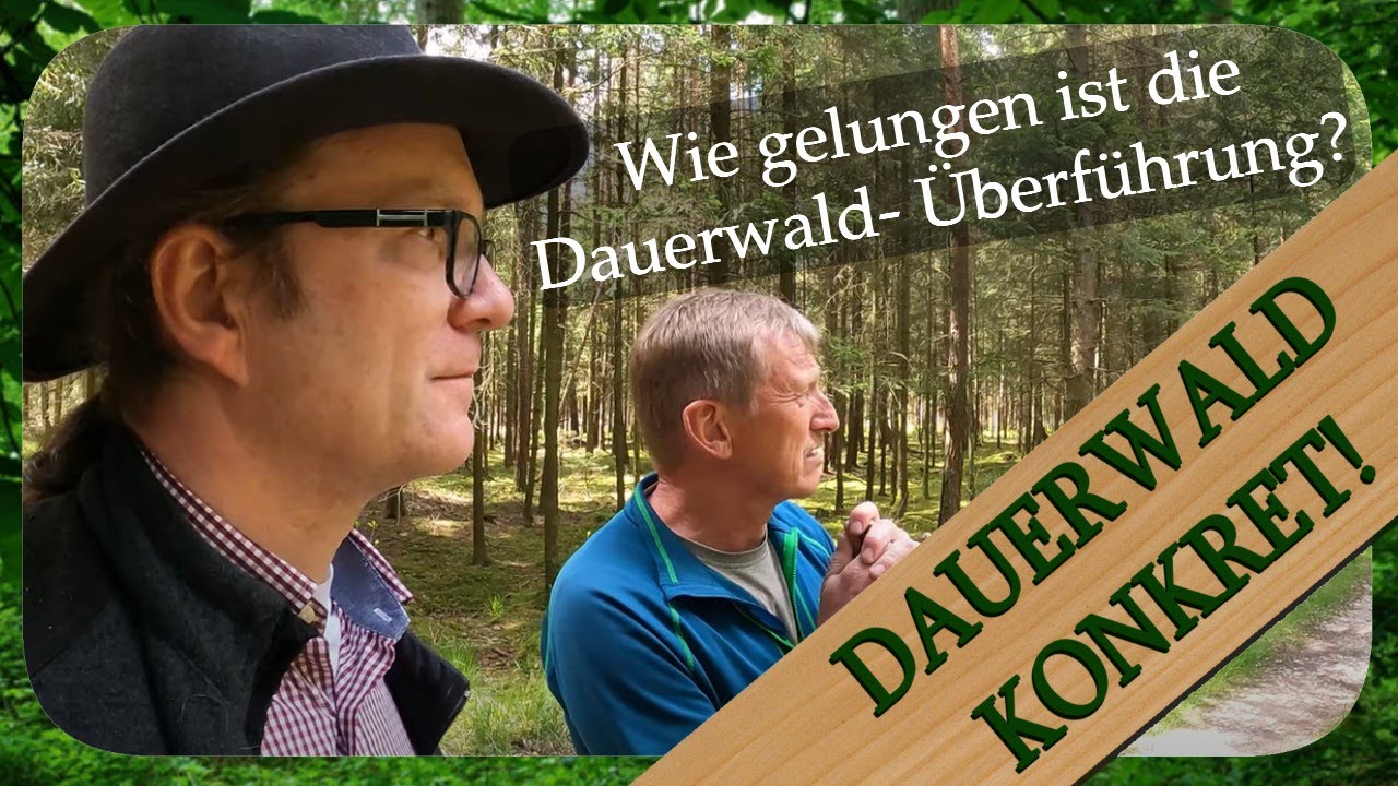 Zuschauerfrage #4 Typische Probleme bei der Dauerwald-Überführung | Dauerwald Konkret!