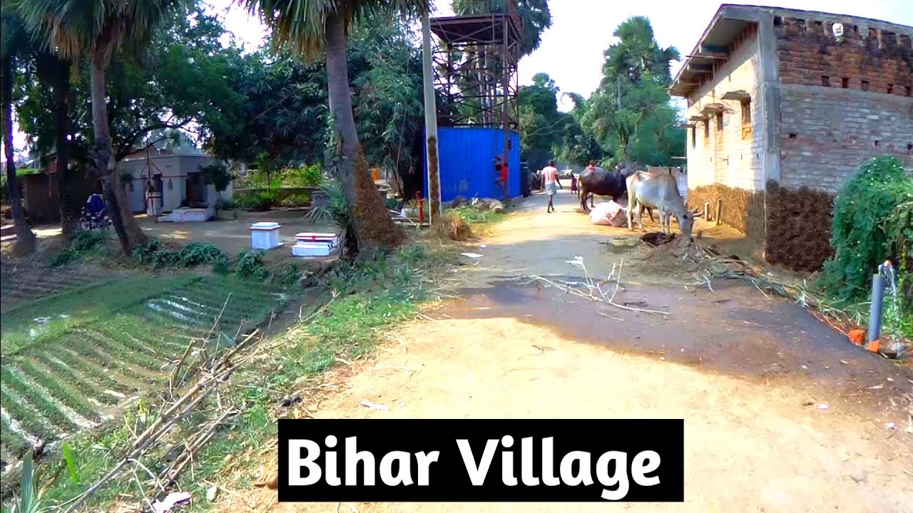 Bihar Village Bicycle Tour || बिहार के गाँव की cycle से यात्रा || Bihar Village Life