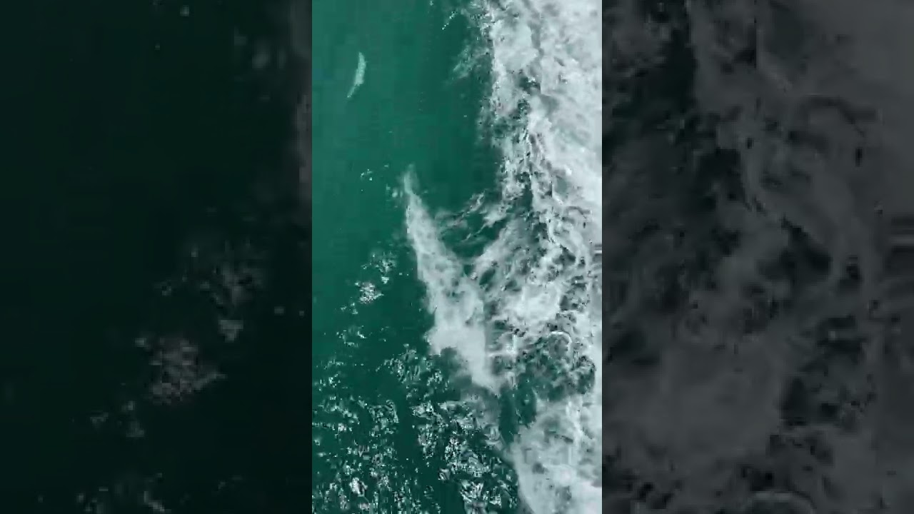 Video by Peggy Anke from Pexels