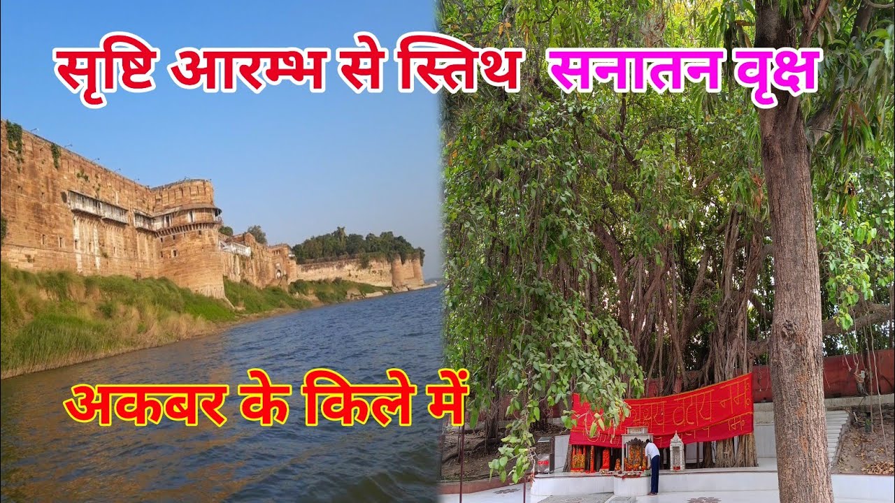 Akbar के किले में कहाँ से आया यह सनातन वृक्ष #akshyvat