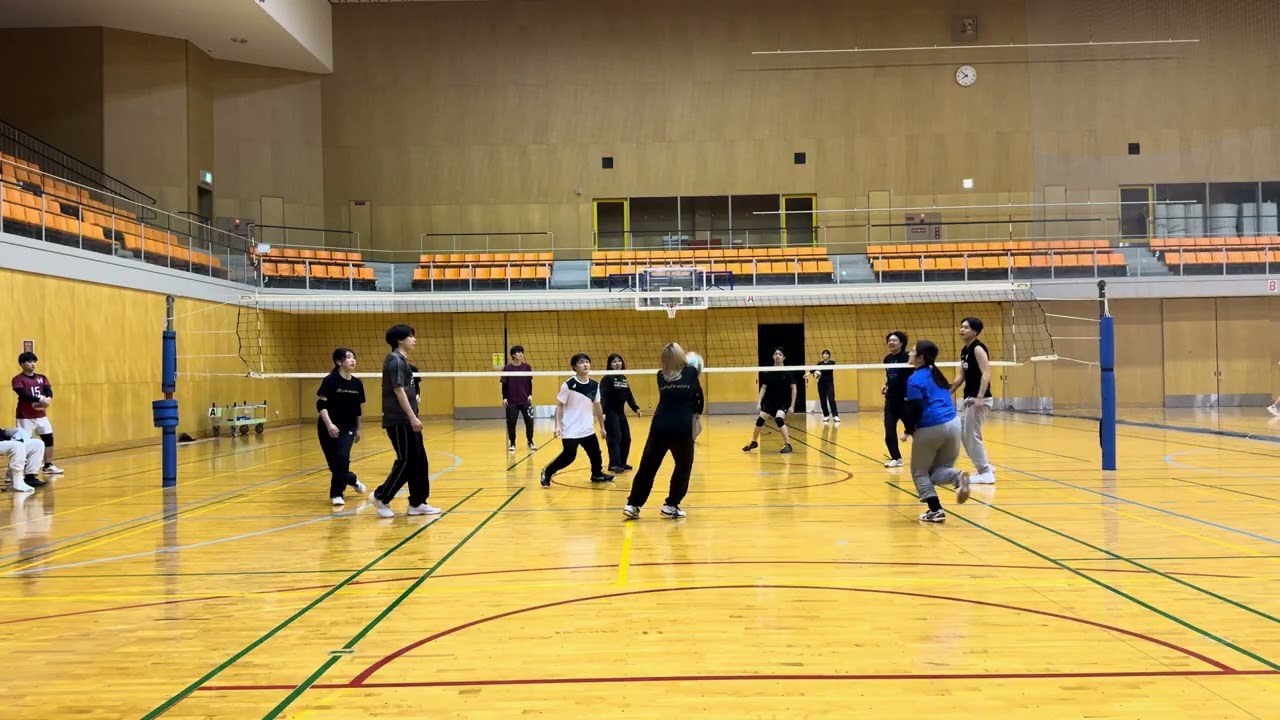 2026/2/8しらす④