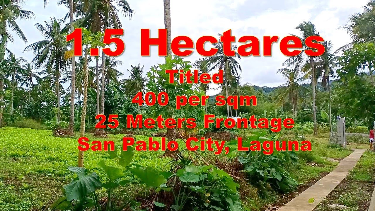 FARM LOT FOR SALE 1.5 HECTARE, SAN PABLO CITY, LAGUNA