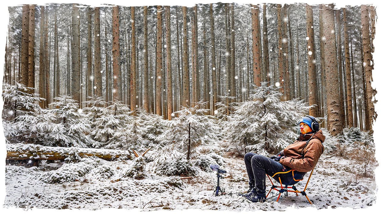 Sounds of Forest in Winter • Relaxing Nature & Bird Sounds | 4K Cozy Woodland Ambience from Germany