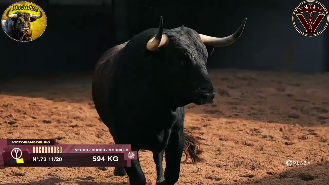SORTEO| Toros de Victoriano del Río/Cortés| 1ª de Feria de San Isidro