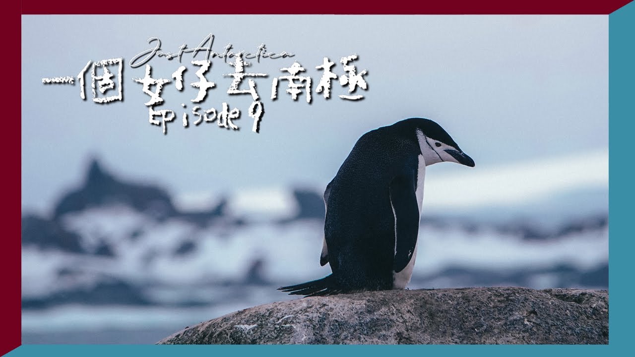 再見南極😢最後一次登岸了｜一個女仔去南極EP9｜ANTARCTICA VLOG｜RedisPolly