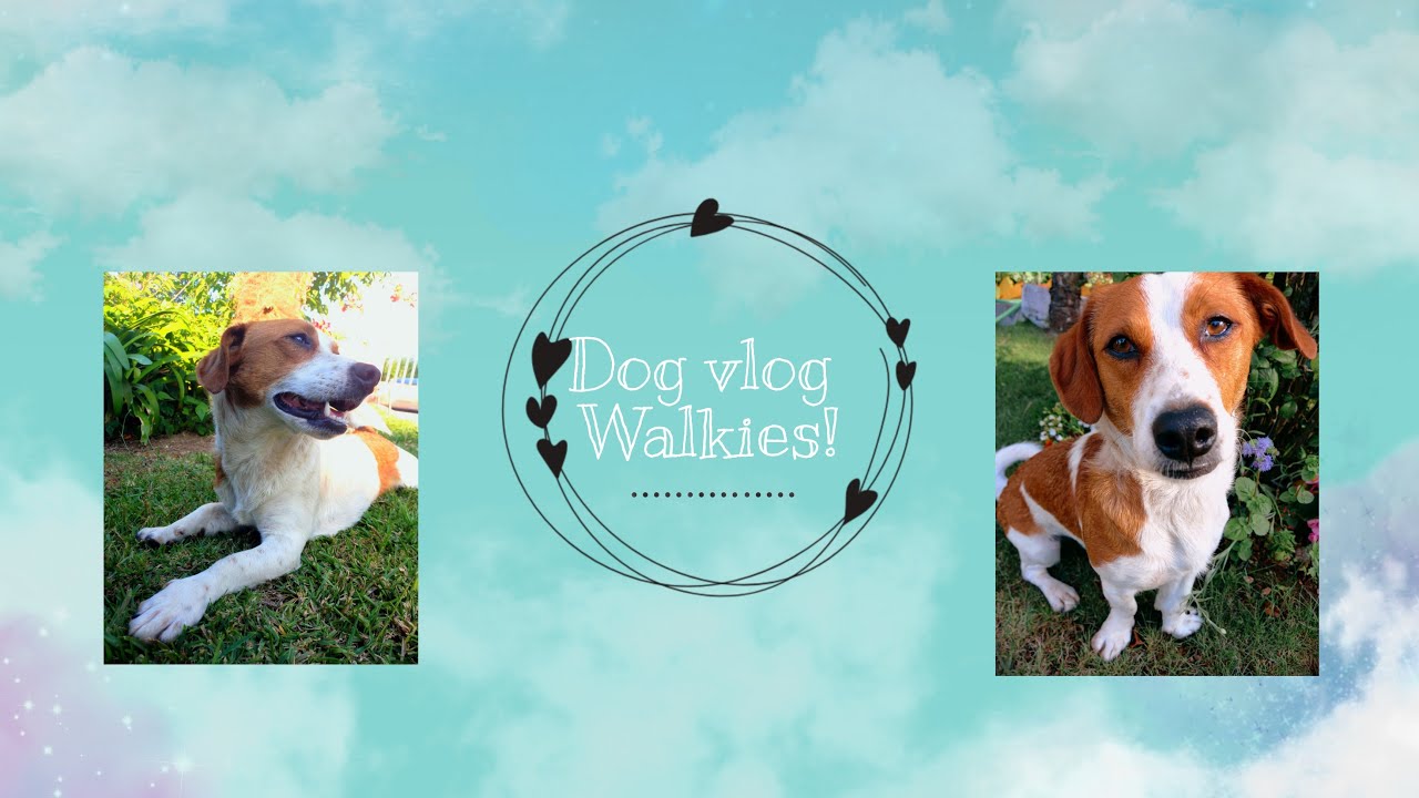 Day vlog // A DAY IN MY LIFE (Tuga) // In PORTUGAL