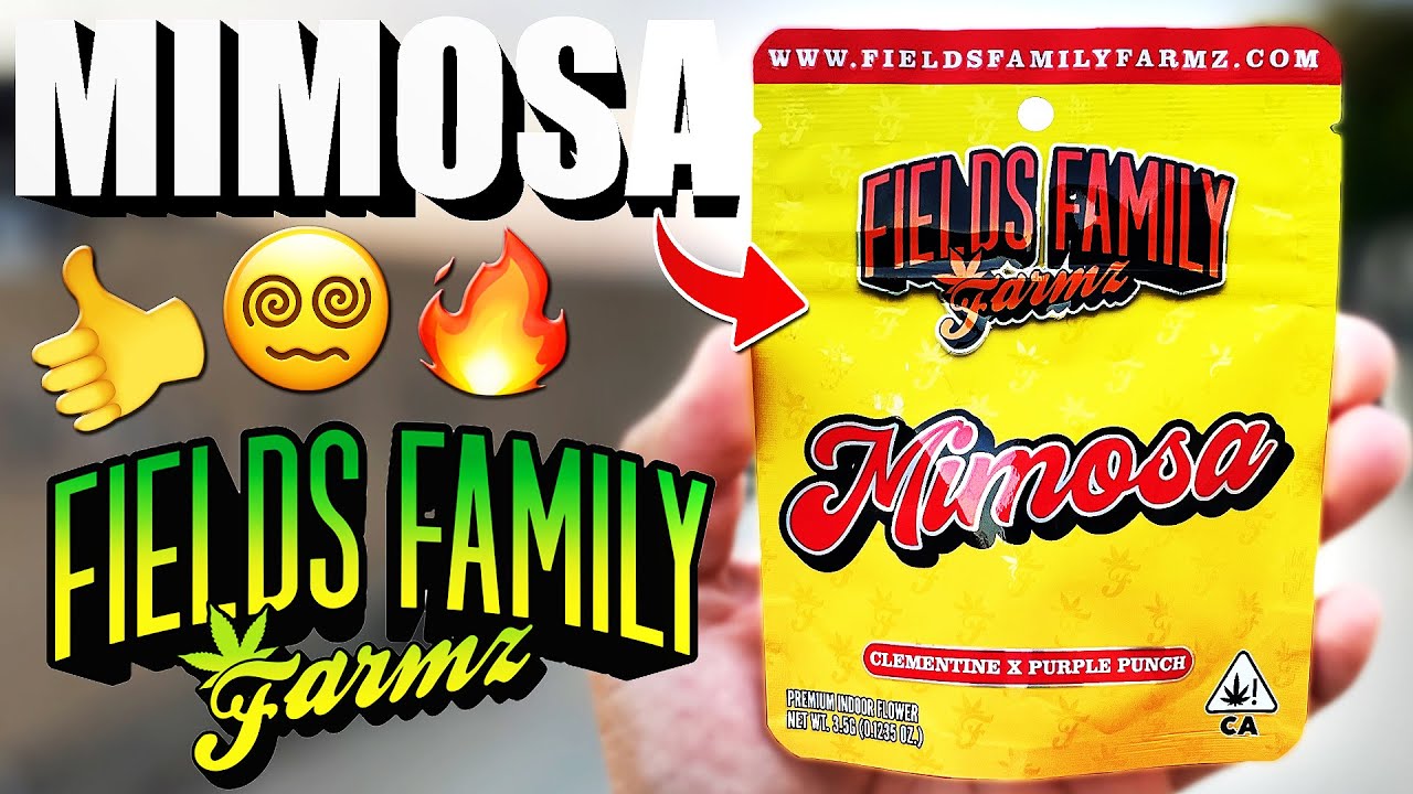 Эта мимоза была просто восхитительной! | Отзыв о мимозе от Fields Family Farmz!