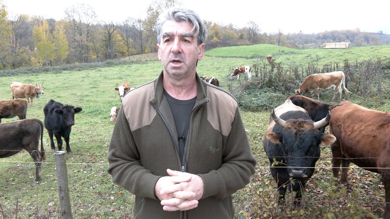 - VRATIO SE IZ ŠVAJCARSKE DA BUDE FARMER NA SVOJOJ ZEMLJI -