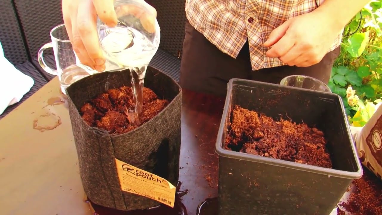 Root Pouch vs  Plastiktopf Wir gie&szlig;en absichtlich an den Rand