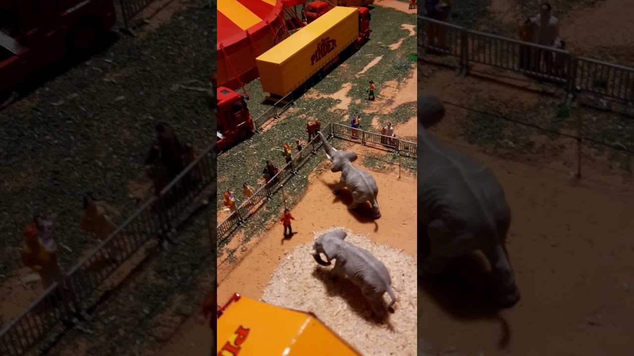 Cirque pinder d'ALAIN ROUCH