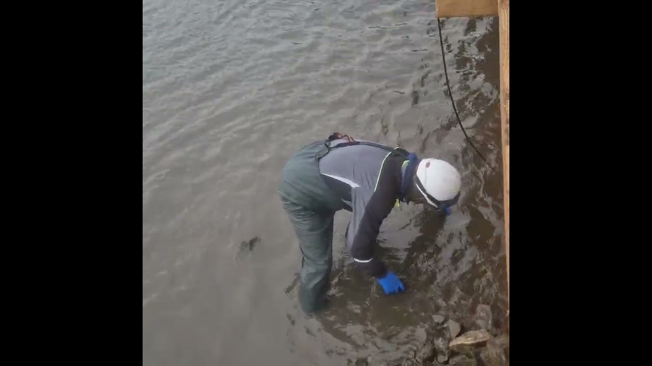 19 ИЮНя 2025г. ДИКСОН. Рабочий процесс в тумане#арктика #диксон 