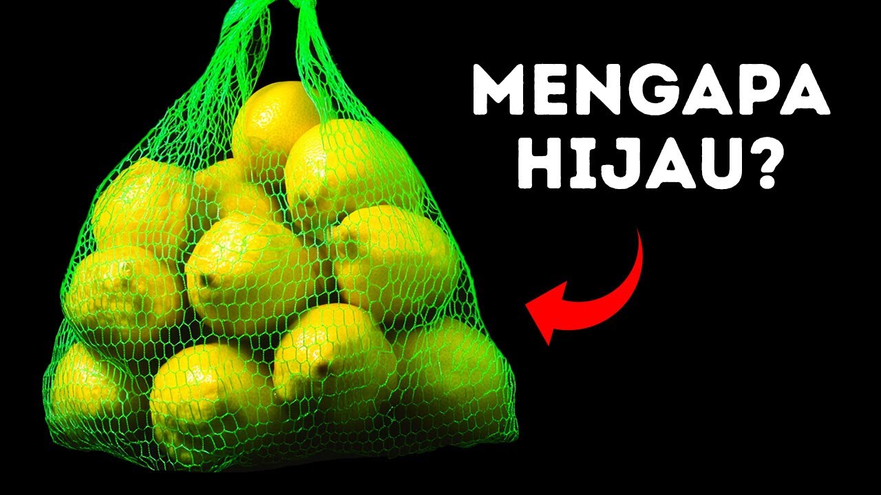 101+ Fakta yang Membuat Anda Menjadi Orang Paling Menarik di Ruangan