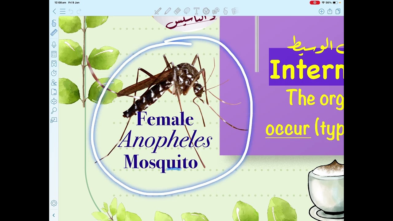 Ch.3.#reproduction_in_organisms  #biology #secondary_education #mina elias.Alternation of Generation