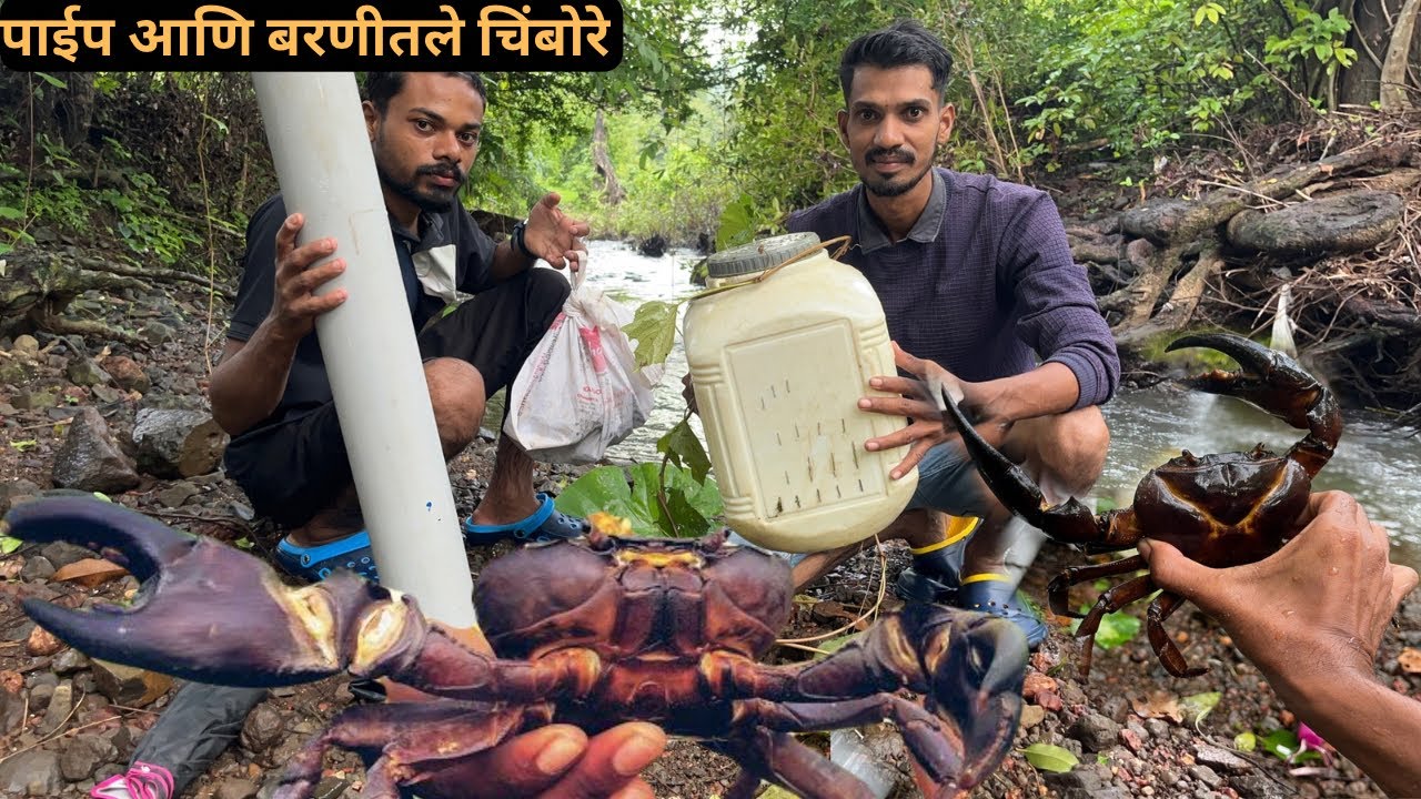 प्ल्यास्टिकचा पाईप आणि बरणी लावून खेकडे पकडण्याची पद्धत 🦀|Crab catching 
