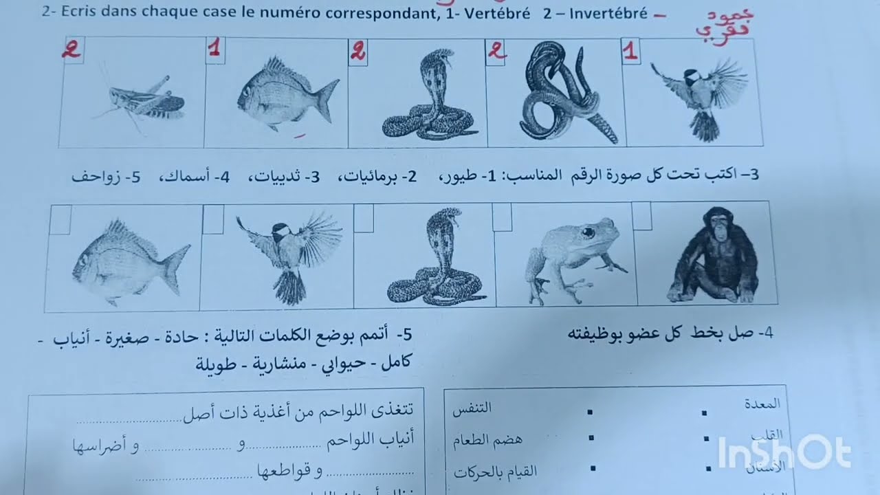 الفرض الأول في الدورة الثانية المستوى الثالث مادة النشاط العلمي #فروض_المرحلة_الثالثة