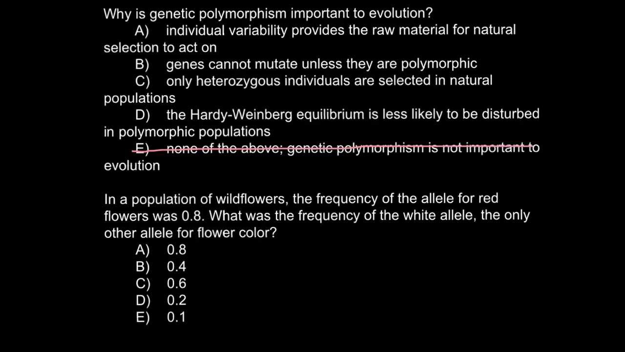 Why is genetic polymorphism important to evolution?