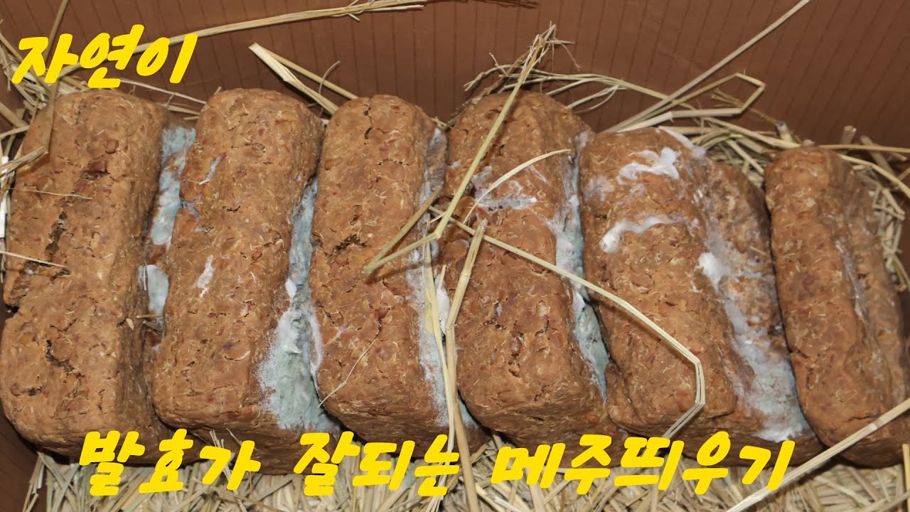 된장담글 메주띄우기