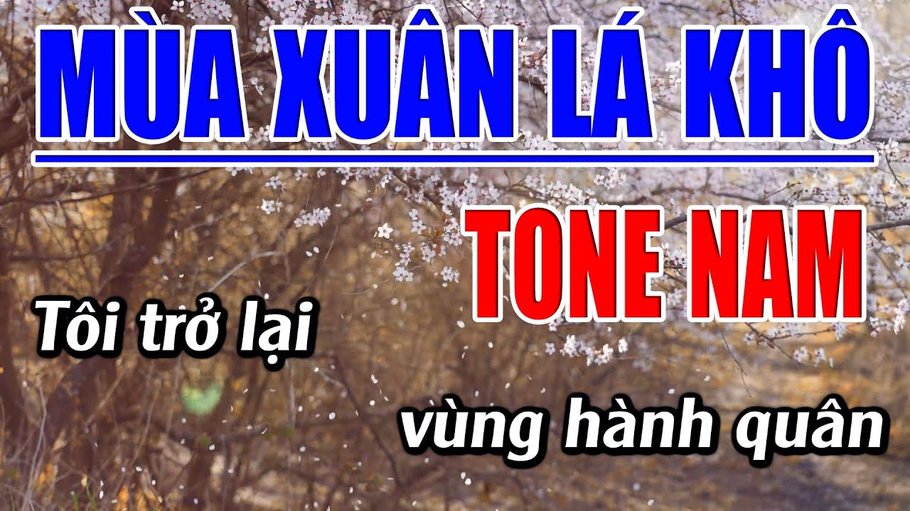 Mùa Xuân Lá Khô Karaoke Tone Nam Karaoke Đăng Khôi - Beat Mới