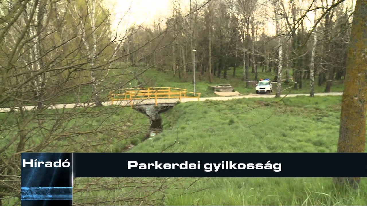 Parkerdei gyilkosság