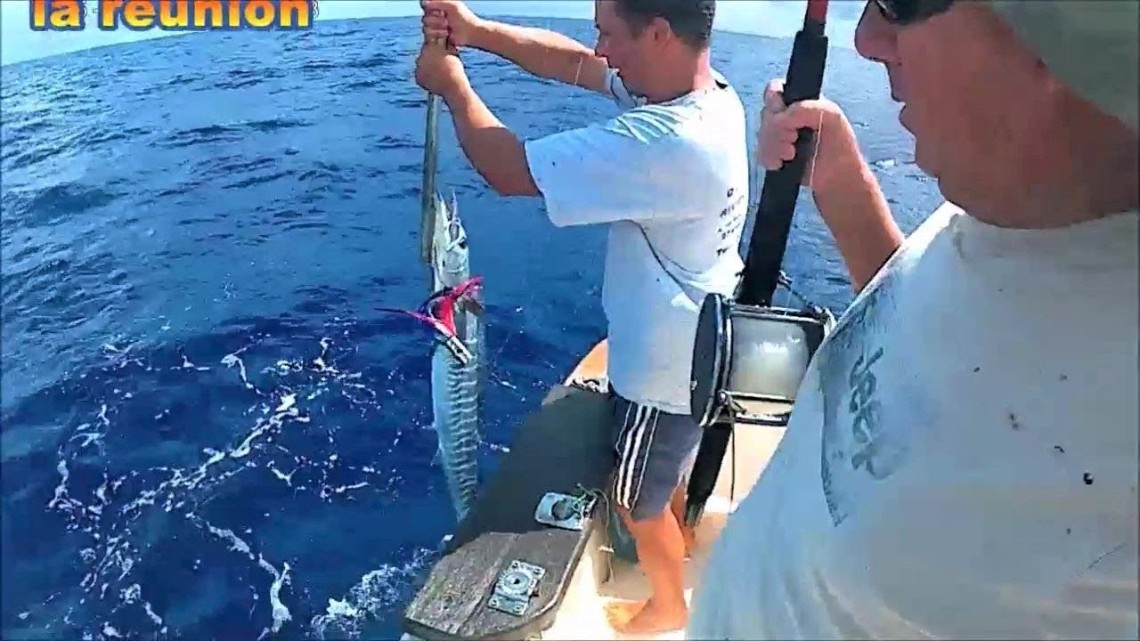 Pêche en mer Thon et Thazard à la Traîne