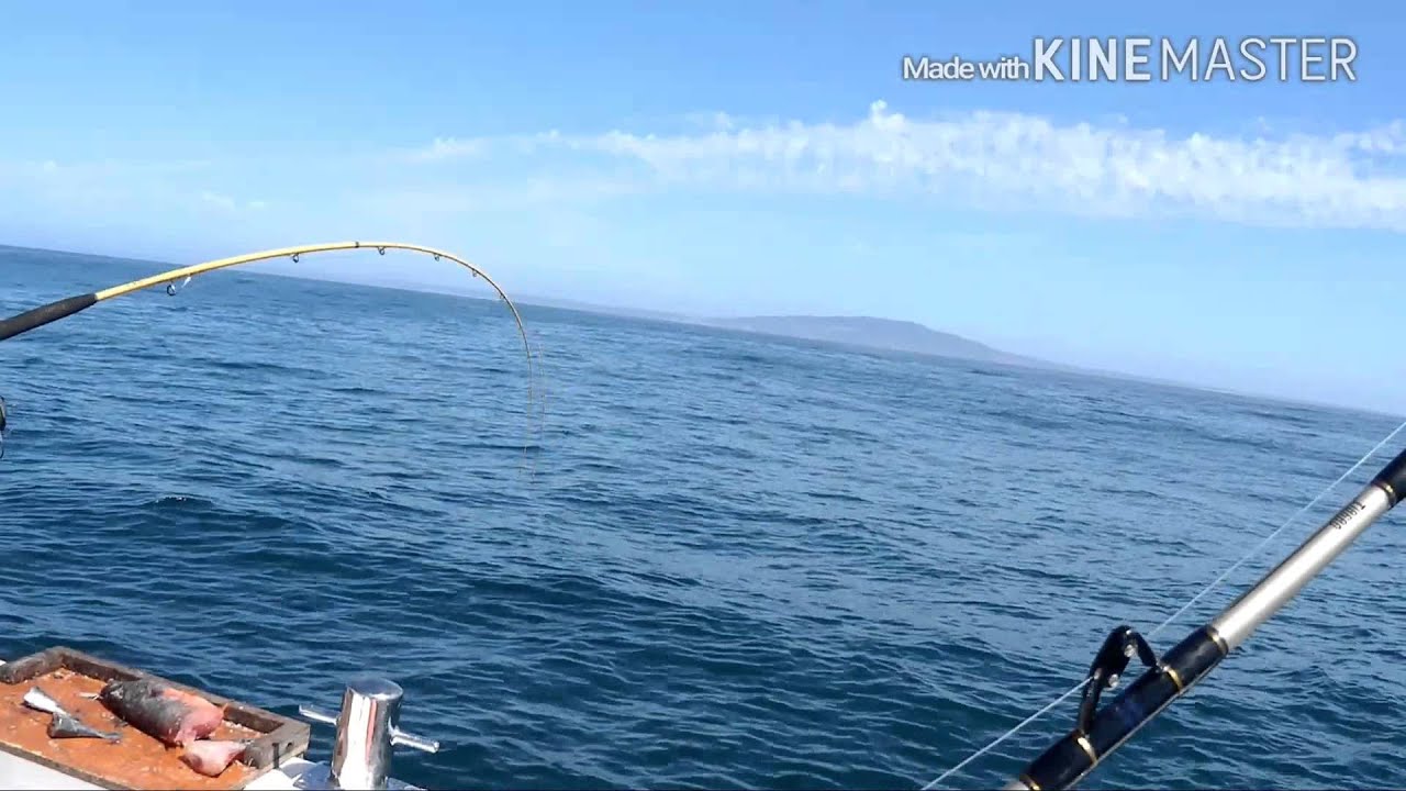 Cascais Fishing