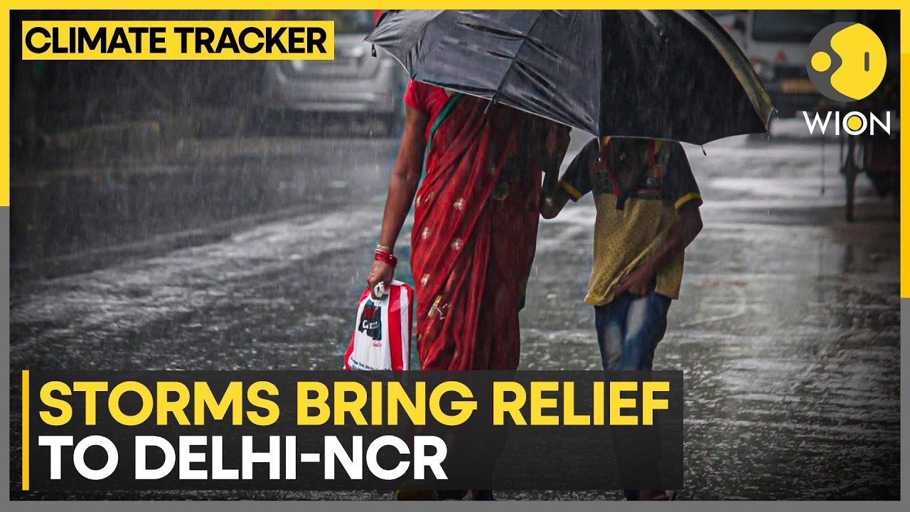 Monsoon Brings Relief To North India, Fresh Weather Alert For Delhi-NCR | WION Climate Ttacker