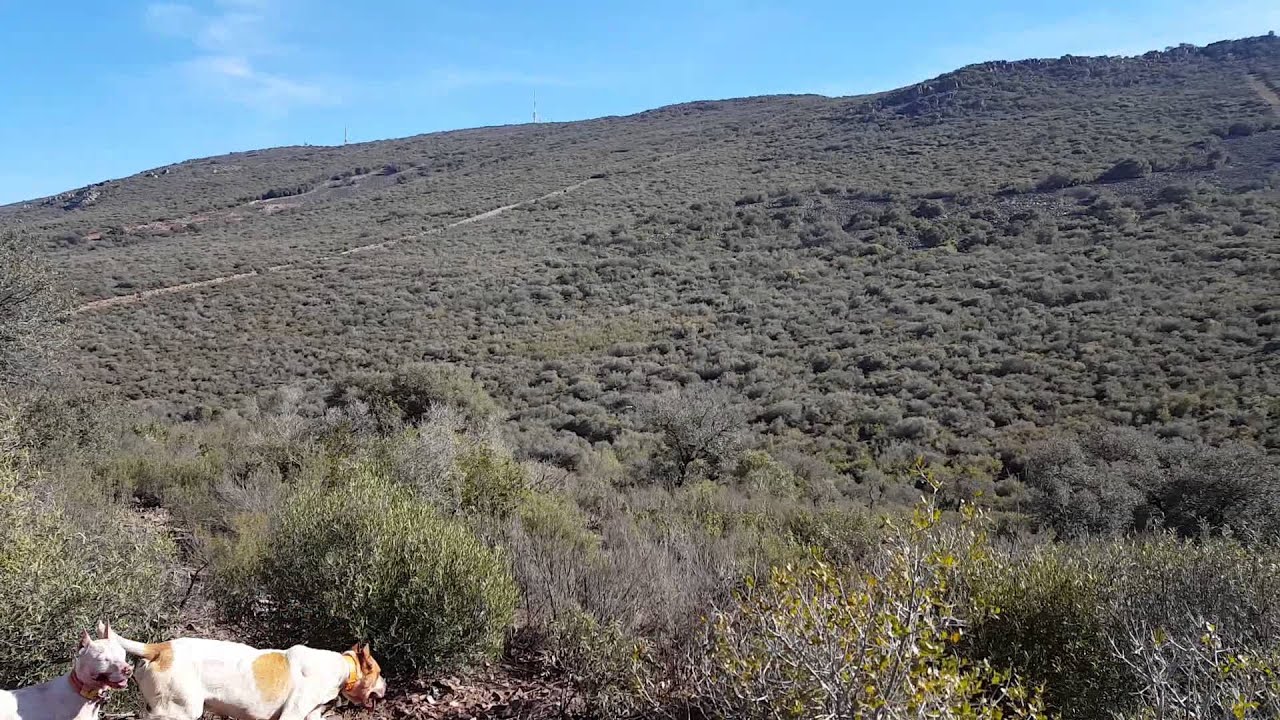 Tomatito .con sus butaneros..