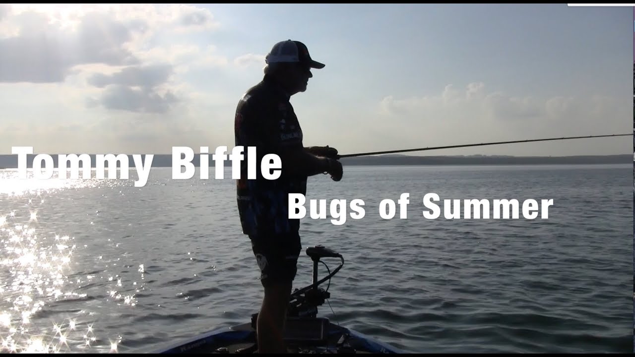 Tommy Biffle Bugs of Summer, Part One