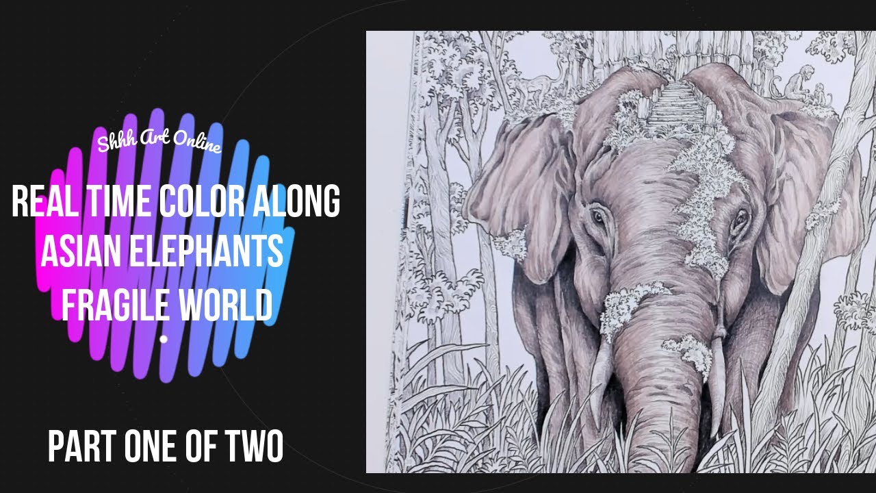 Real time color along with music/Asian Elephant/Fragile World/Part 1