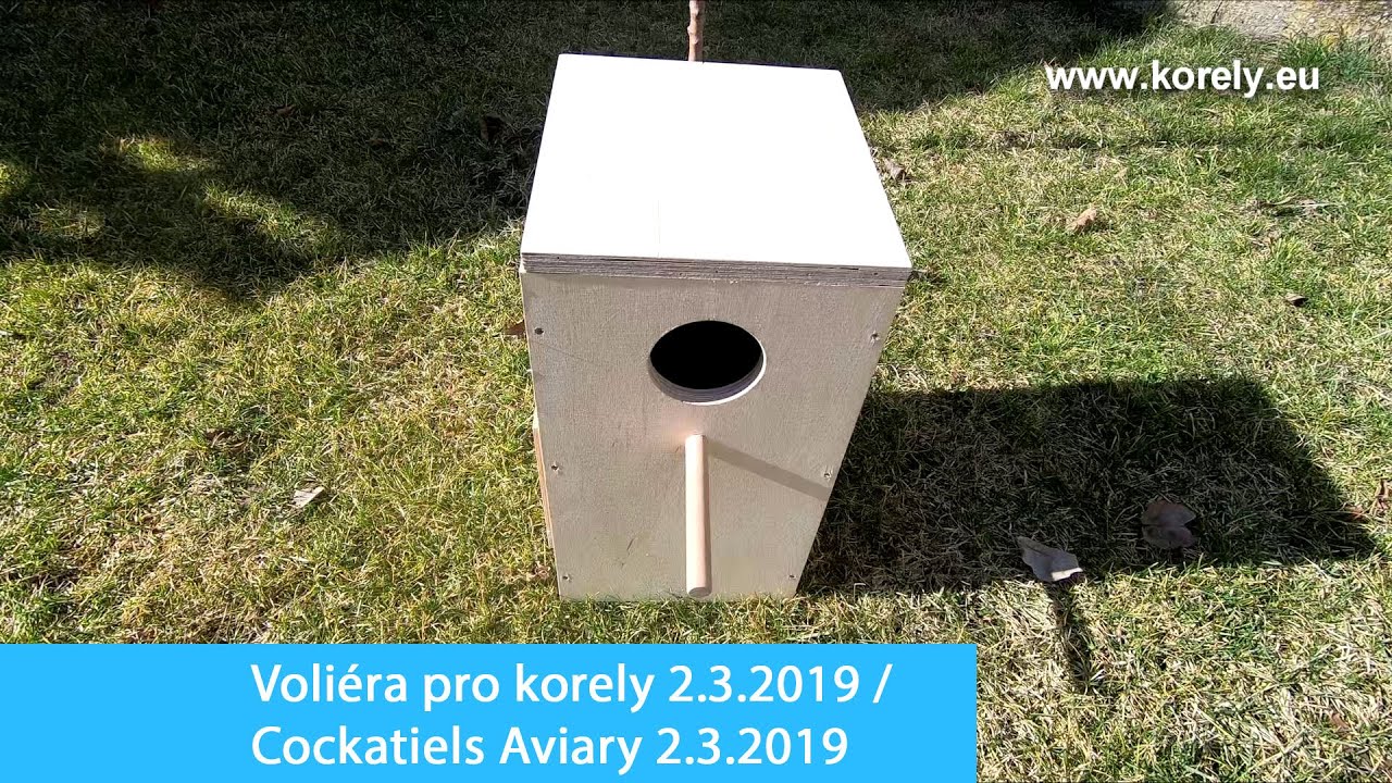 Voliera pro korely 2019 + budky a dom&aacute;c&iacute; pr&aacute;ce