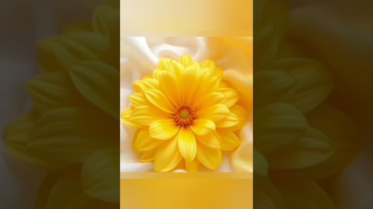اللللللللله على الجمال 🤍🩵🤍🩵🤍🩵🤍🩵🤍🩵🤍🩵❤️