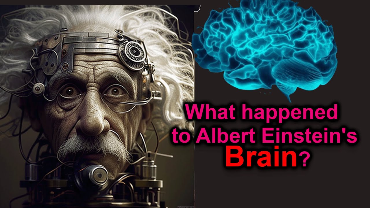 What Happened to Einstein's Brain After His Death | Einstein's Brain vs. a Normal Brain?
