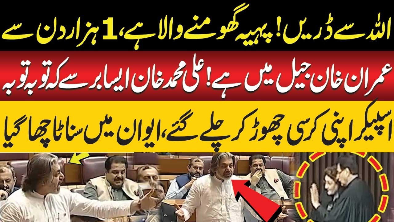 PTI Leader Ali Muhammad Khan's Furious Speech in National Assembly | Public News