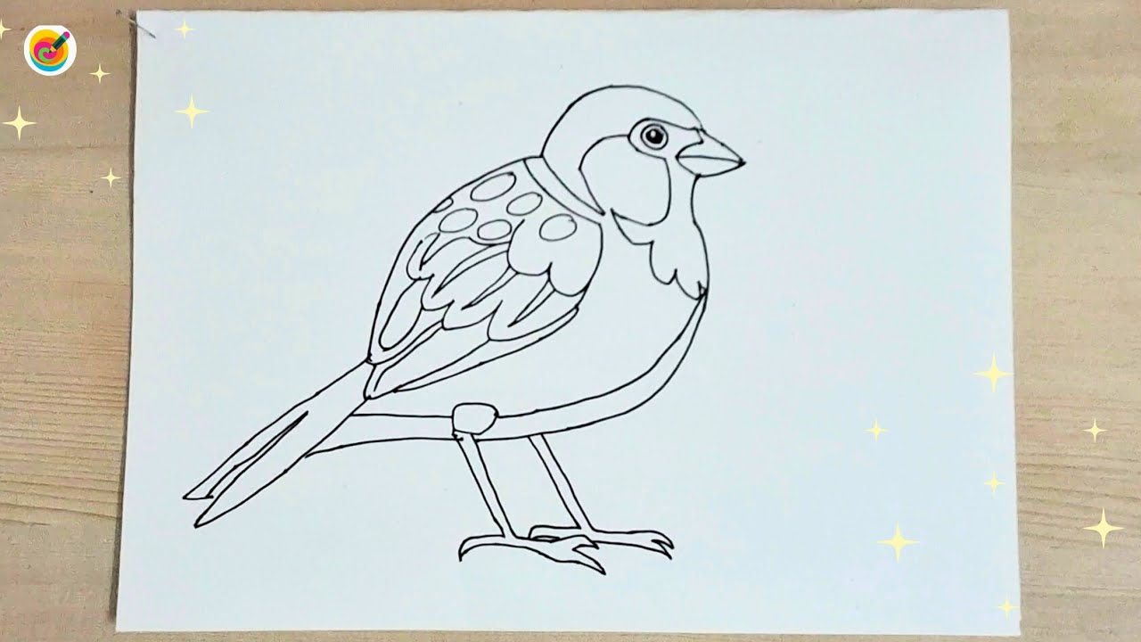 How to Draw a Sparrow | Easy Bird Drawing for Beginners