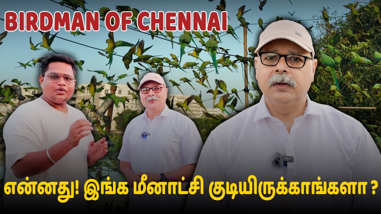 Parrot Sudarson 🦜- Bird man of Chennai 🕊️